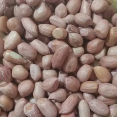 A picture of Roasted peanuts.