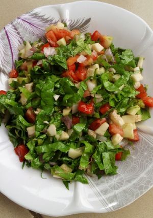 A picture of Simple vegetable salad.