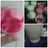 Ice cream Ekonomis Simple Blender Saja