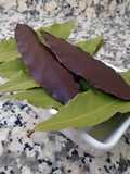 Hojas de chocolate