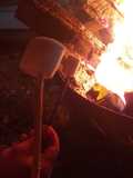 Malvadiscos Asados en Fogata (Marshmallows)