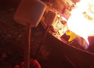Una foto de Malvadiscos Asados en Fogata (Marshmallows)