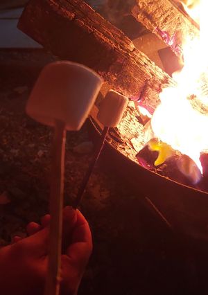 Una foto de Malvadiscos Asados en Fogata (Marshmallows)
