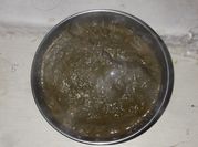 A picture of bathua saag