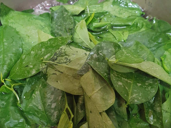 Cara Simple Membuat Resep  Sayur Bening Katu yang Bikin Ngiler, Sempurna