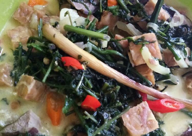 Resep Pakis, Daging, Tempe, santan Anti Gagal