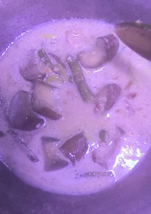 Foto resep Lodeh terong n kacang panjang simple