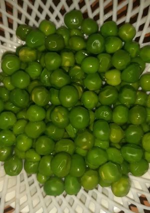 عکسی از دستور فریز کردن نخود فرنگی