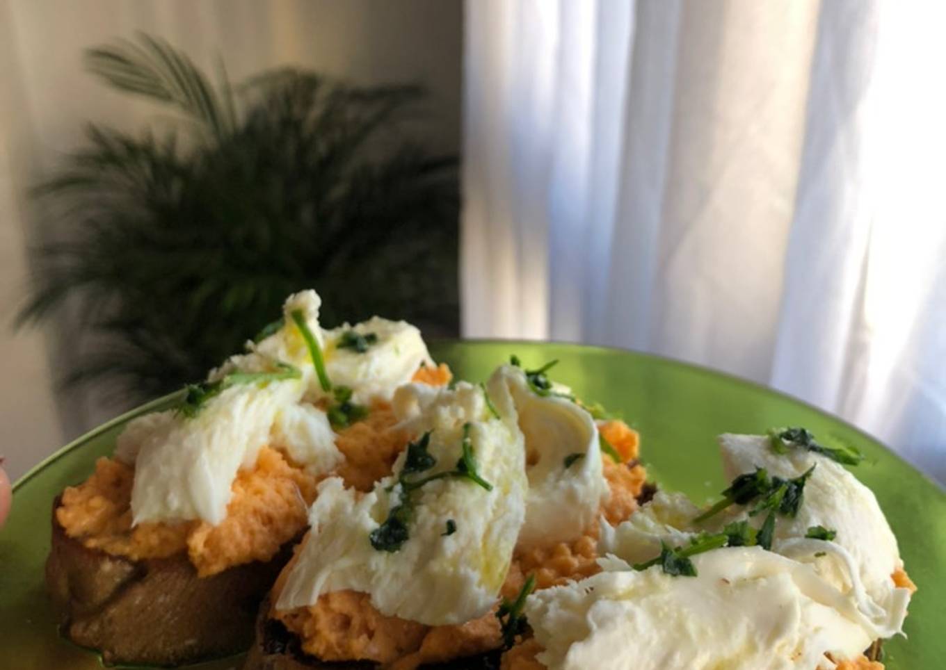 Tostadas de salmón y mozzarella 🍞