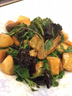塔香杏鮑菇 的食譜成品照片