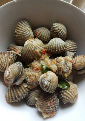Foto resep Rica-rica Kerang Dara