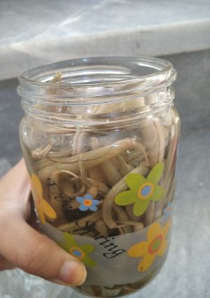 عکسی از دستور لوبیا سبز شور