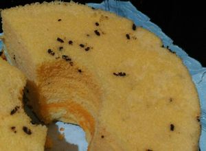 Foto resep Bolu Kukus Nutrijel Jeruk (empuk & lembut)