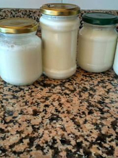 Una foto de Yogurt casero