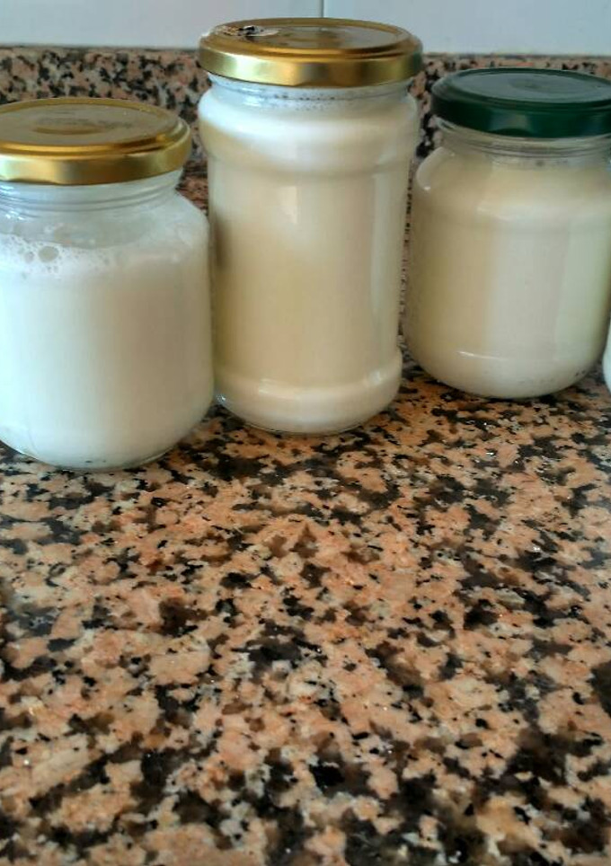 Una foto de Yogurt casero