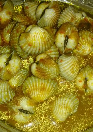 Foto resep Kerang Dara Saus Tiram