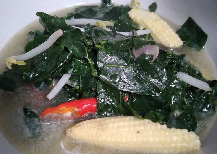 Cara Gampang Membuat Sayur manis daun katu, Bisa Manjain Lidah