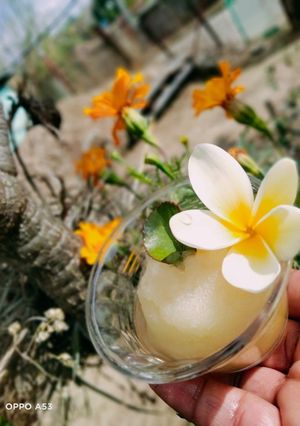 Una foto de Sorbet de champagne