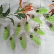 Caterpillar cookies-lumer dan gurih