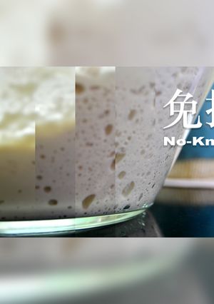 【差不多食譜】免揉麵團 No-Knead Dough 的食譜成品照片