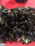 Percebes fritos