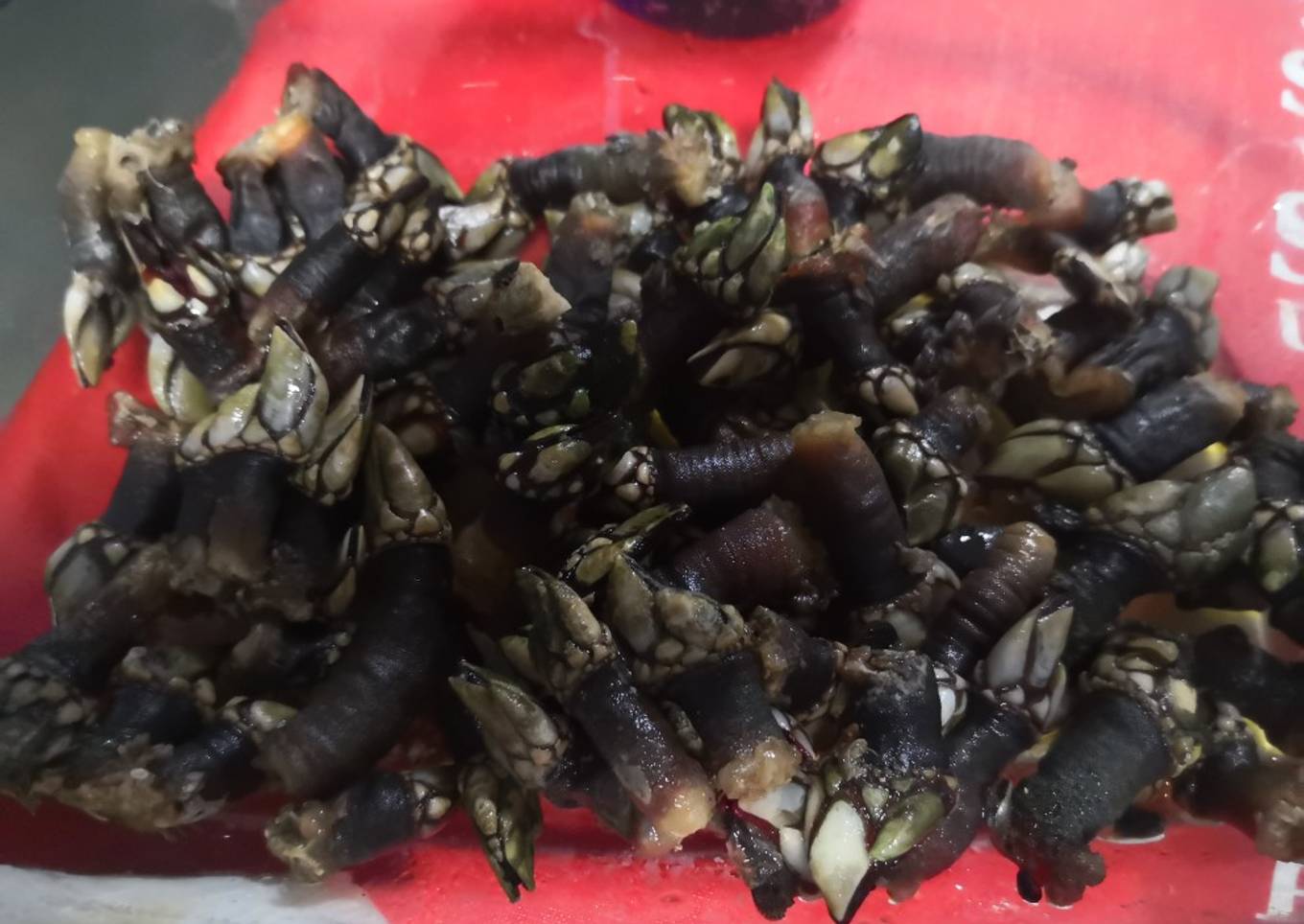 Percebes fritos