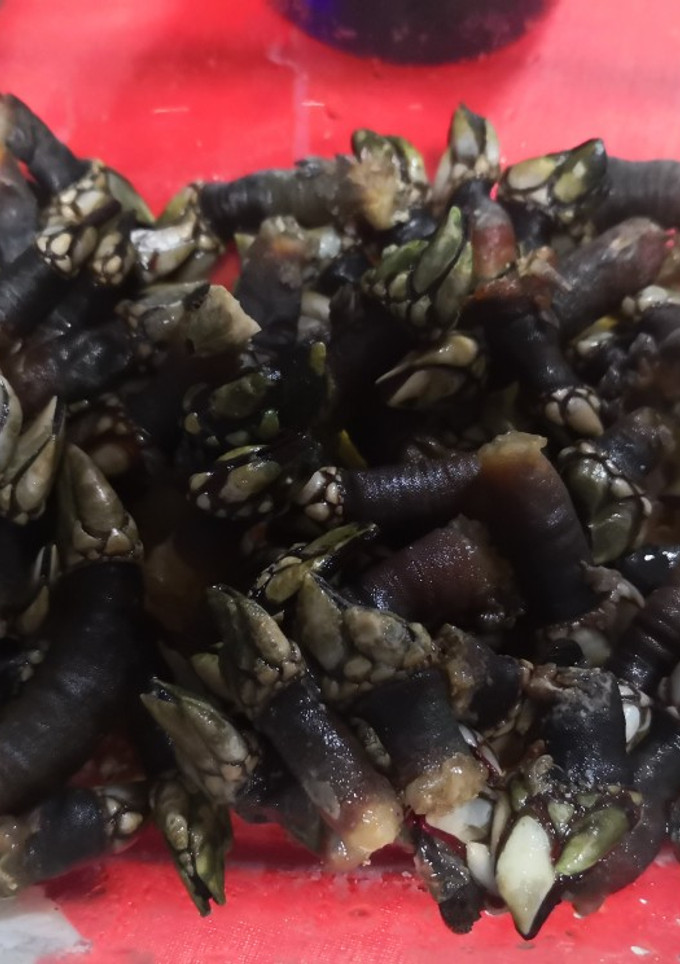 Una foto de Percebes fritos