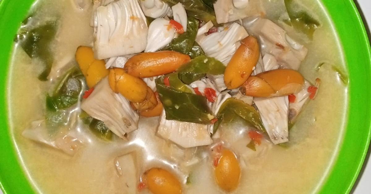 Resep Sayur Lodeh Gori Nangka Muda Oleh Artiq Cookpad