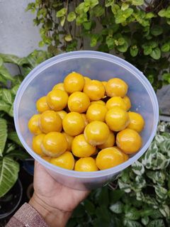 Foto resep Nastar Glowing