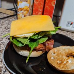 A picture of BESC Sandwich.