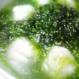 海菜飛魚卵花枝丸湯【澎湖野生水產】
