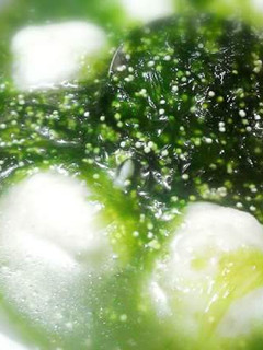 海菜飛魚卵花枝丸湯【澎湖野生水產】 的食譜成品照片
