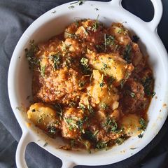 A picture of Lasania batata.