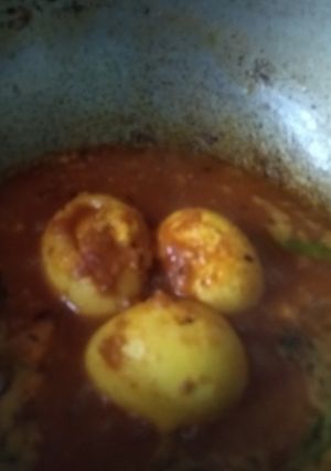 A picture of Egg kosha.