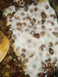 #njaanuary challenge. Cowpeas with coconut