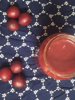 A picture of Plum Sauce.