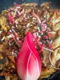 Ayam Pelalah Bongkot (Balinese Shredded Chicken with Torch Ginger)