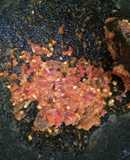 Sambal matah limau nipis