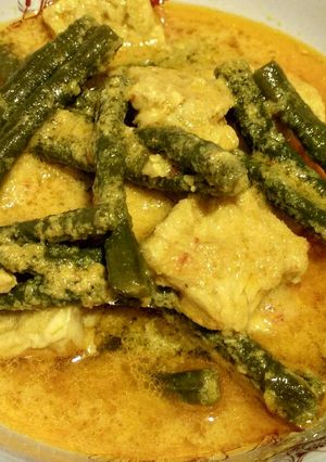 Foto resep Kacang panjang tempe kuah santan