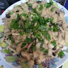 A picture of Mustady mushroom stroganoff.