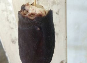 Foto resep Es Pisang Coklat Bubuk Irit