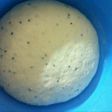 عجينة البريوش الحلوة