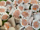 Lẩu hoa mực