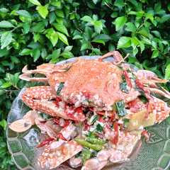 รูปของ Rajungan saus tiram