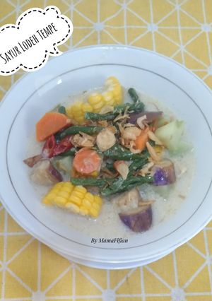 Foto resep Sayur Lodeh Tempe