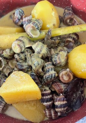 Gambar Siput Sedut Masak Lemak