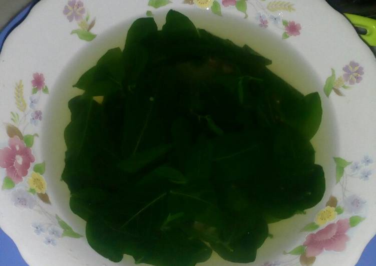 Sayur Bening Daun Katuk