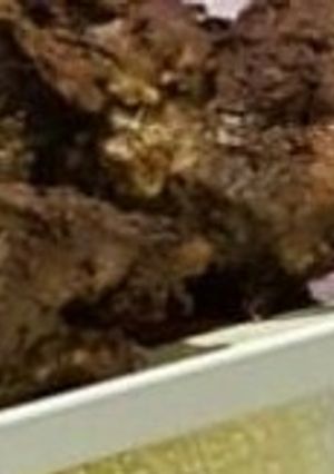 A picture of Mutton Raan.