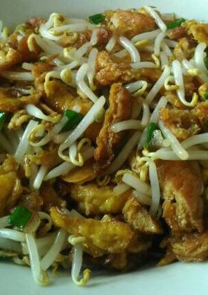 Foto resep Dadar Telur Cah Tauge