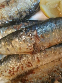 Una foto de Sardinas ajipil